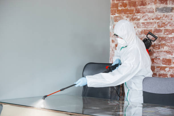 Why You Should Choose Our Mold Remediation Services in Addison, IL